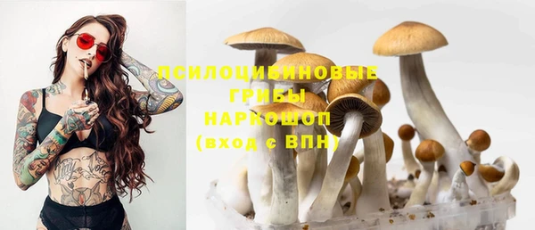 MESCALINE Богородицк