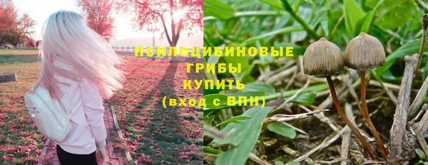 MESCALINE Богородицк